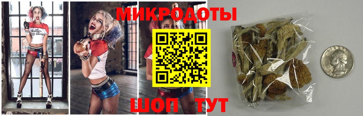 Псилоцибиновые грибы мицелий  Вход с VPN  Добрянка 